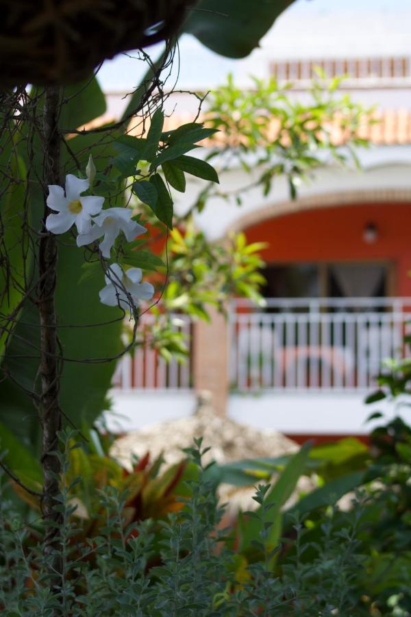 Bungalows Las Tortugas Lo de Marcos Luaran gambar