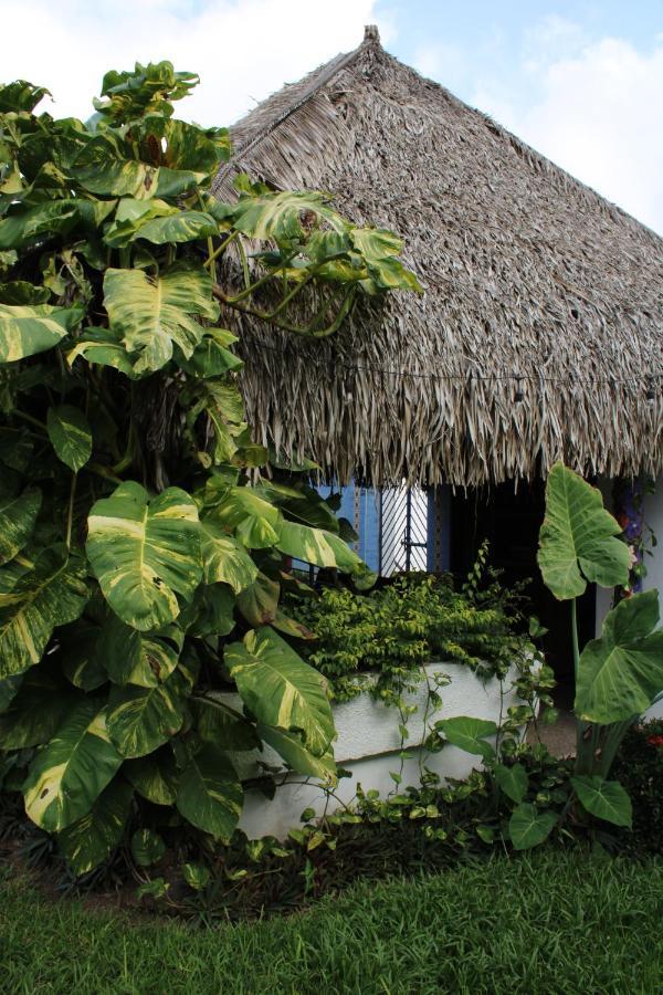 Bungalows Las Tortugas Lo de Marcos Luaran gambar